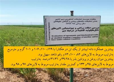 Camelina, a well-adapted oilseed crop to different climates of Iran