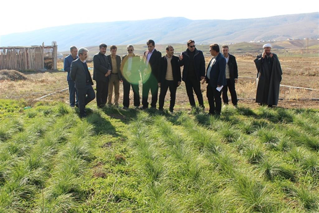 بازدید مدیركل  دیوان محاسبات استان ایلام از ایستگاه تحقیقاتی چرداول استان ایلام