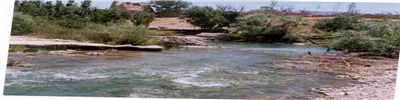 image21.jpg